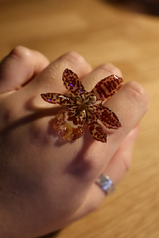 Tiger orchid ring