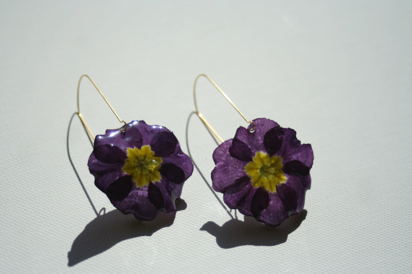 Real primula flower earrings