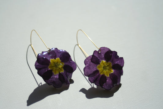 Real primula flower earrings