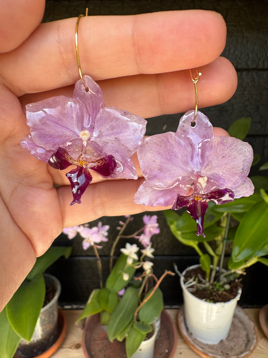 Orchid hoops purple