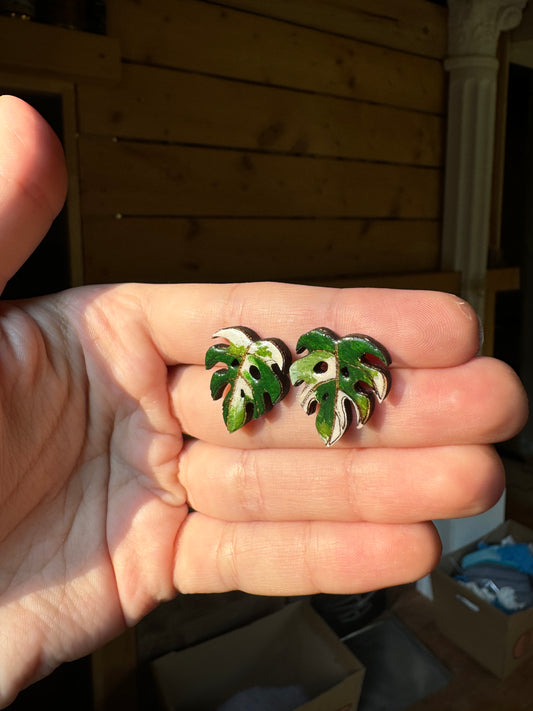 Monstera albo napichovací náušnice Minimalistické příspěvky Dřevěné šperky Design Lasercut Botanické šperky Zelená pokojová rostlina Ručně vyrobený vánoční dárek