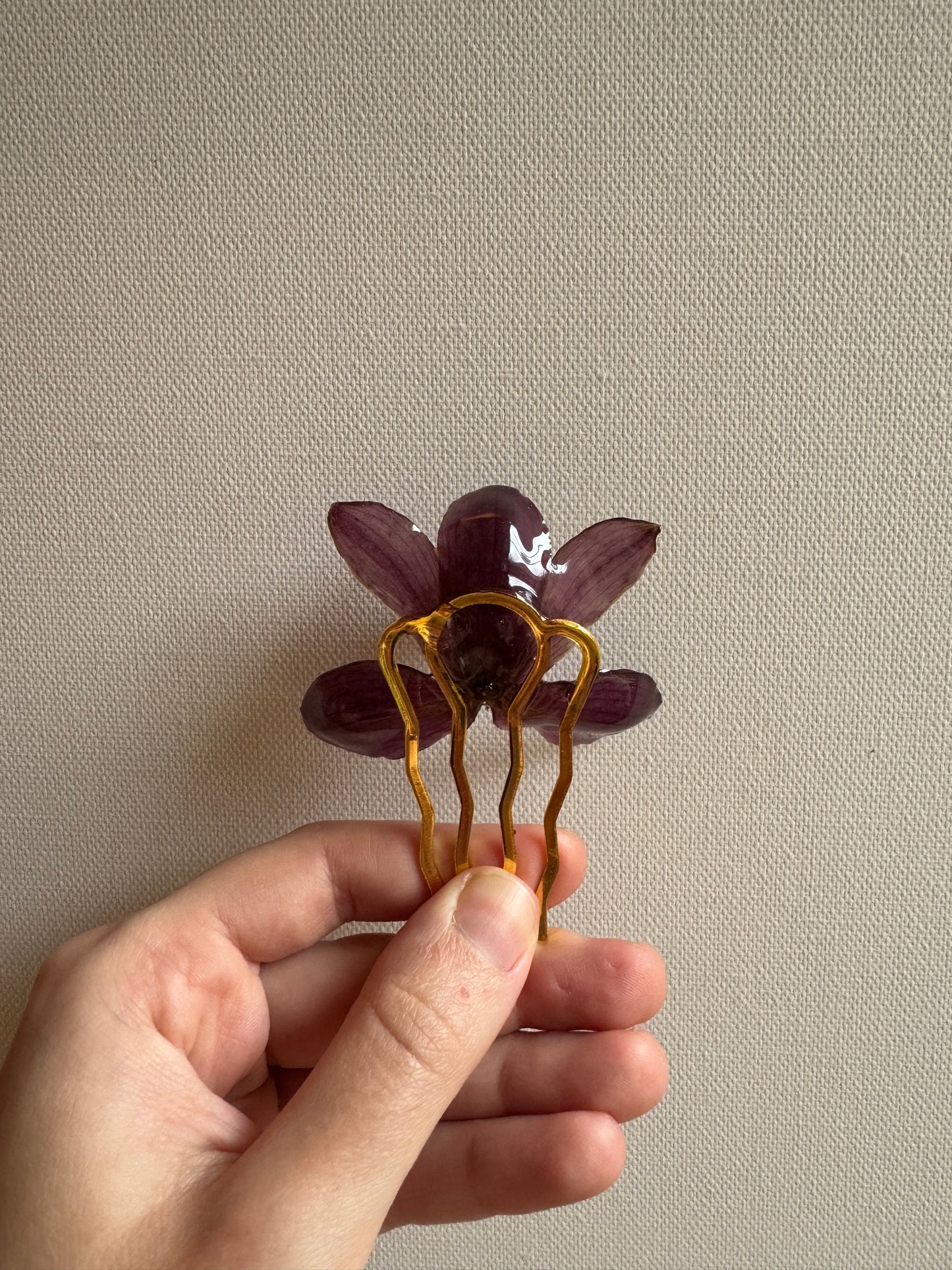 Cymbidium hairpin
