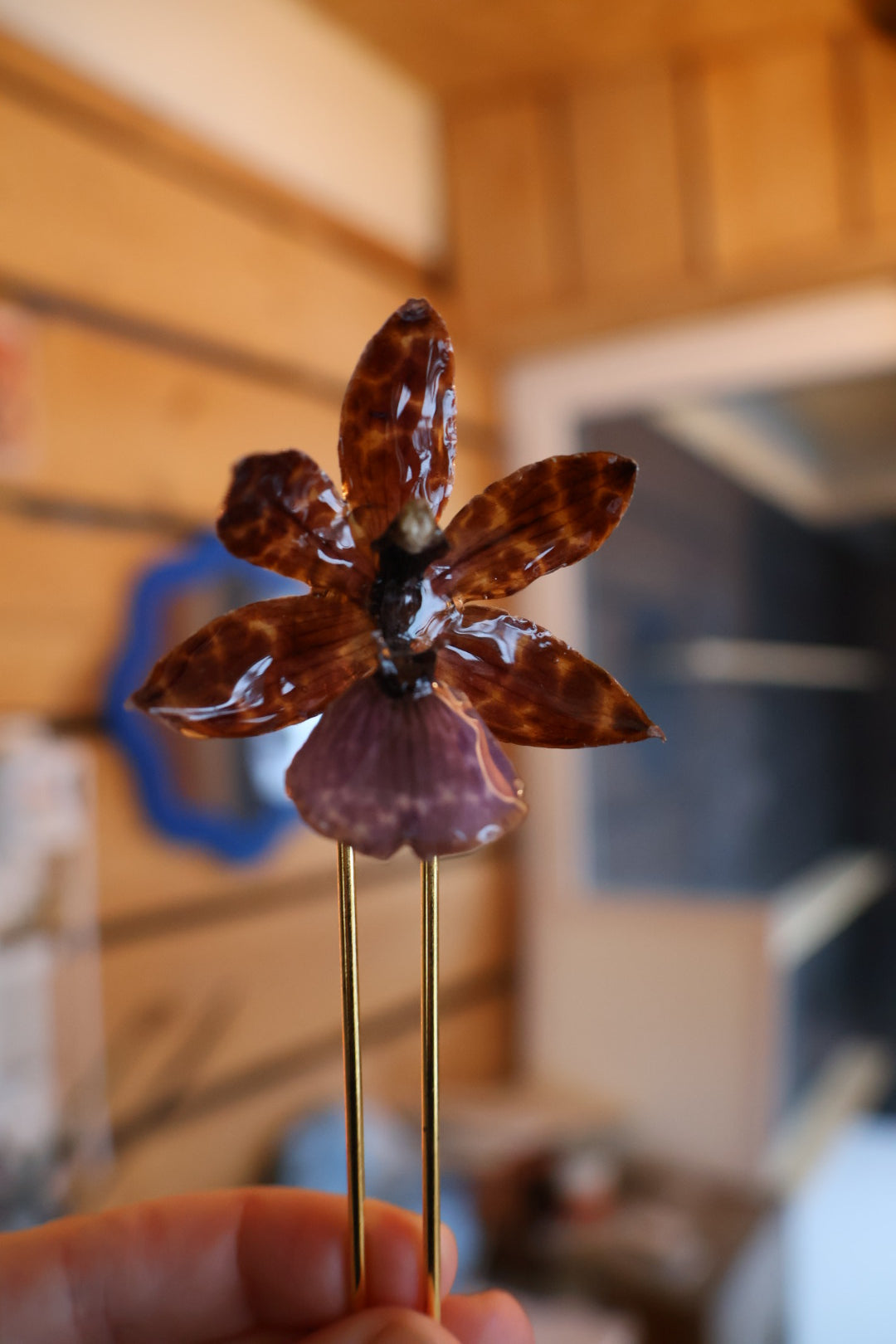 Hybrid orchid hairpin SYLLIA