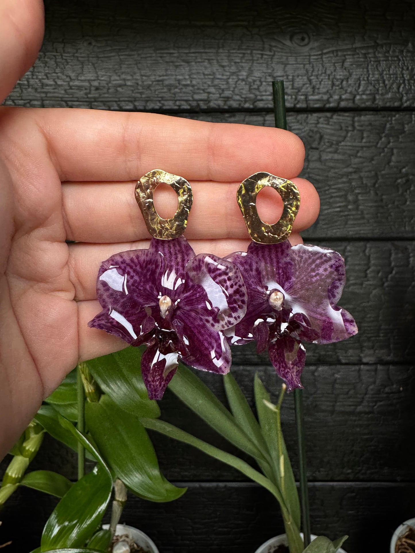 Dotted orchid earrings