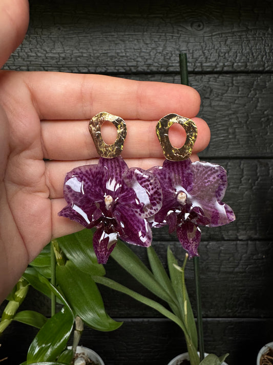 Dotted orchid earrings