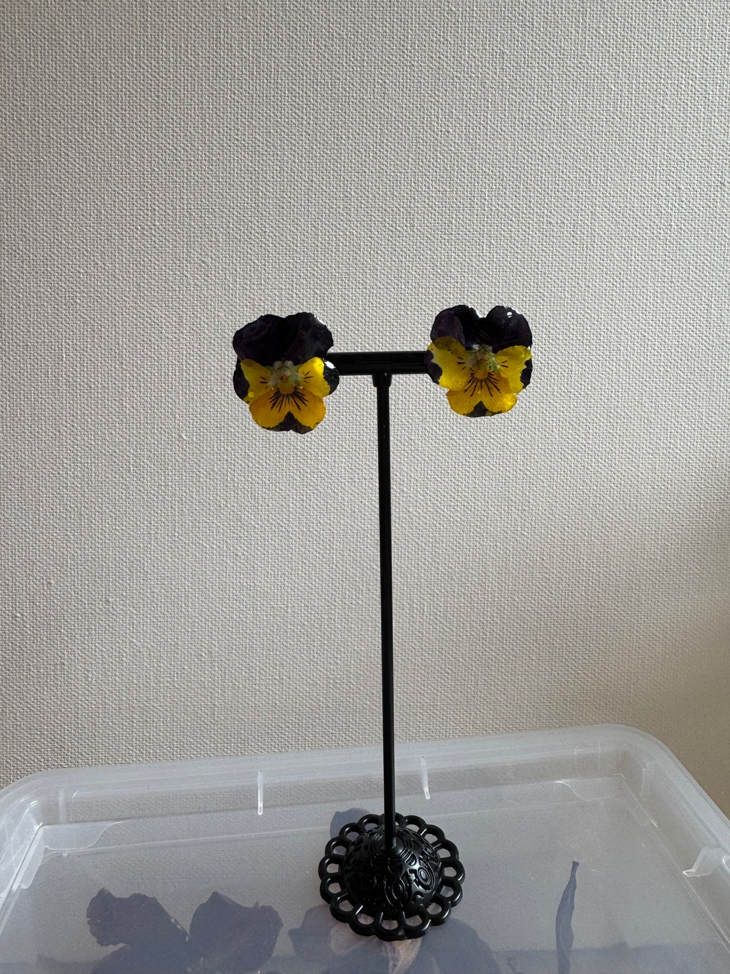 Real pansy stud earrings