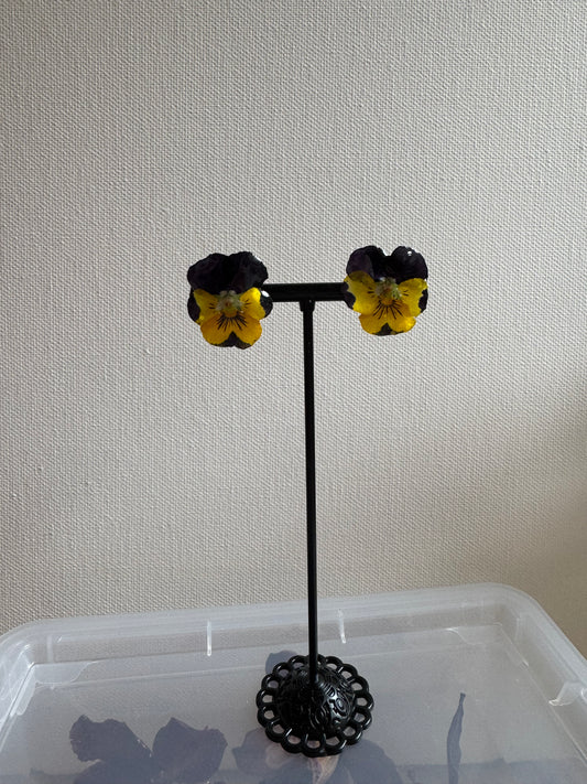 Real pansy stud earrings