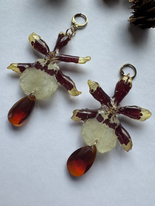 Brown orchid dangles