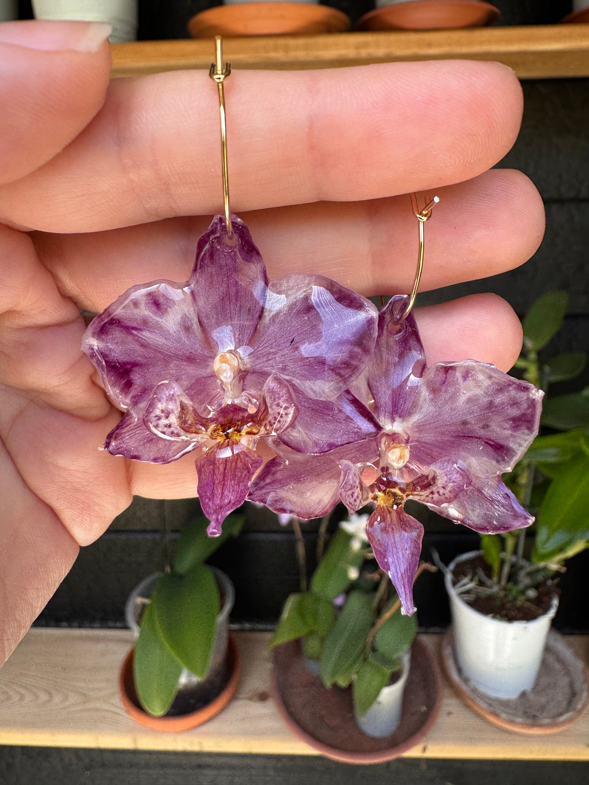 Purple orchid hoops SYLLIA
