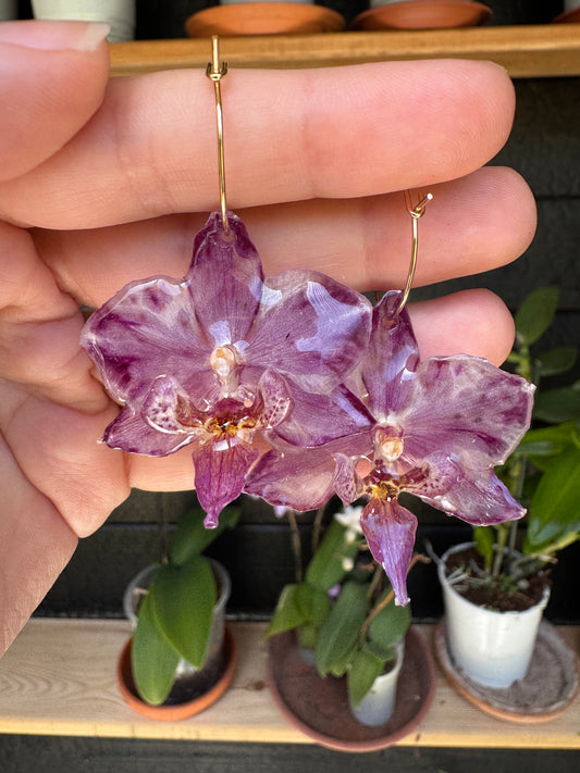 Purple orchid hoops SYLLIA