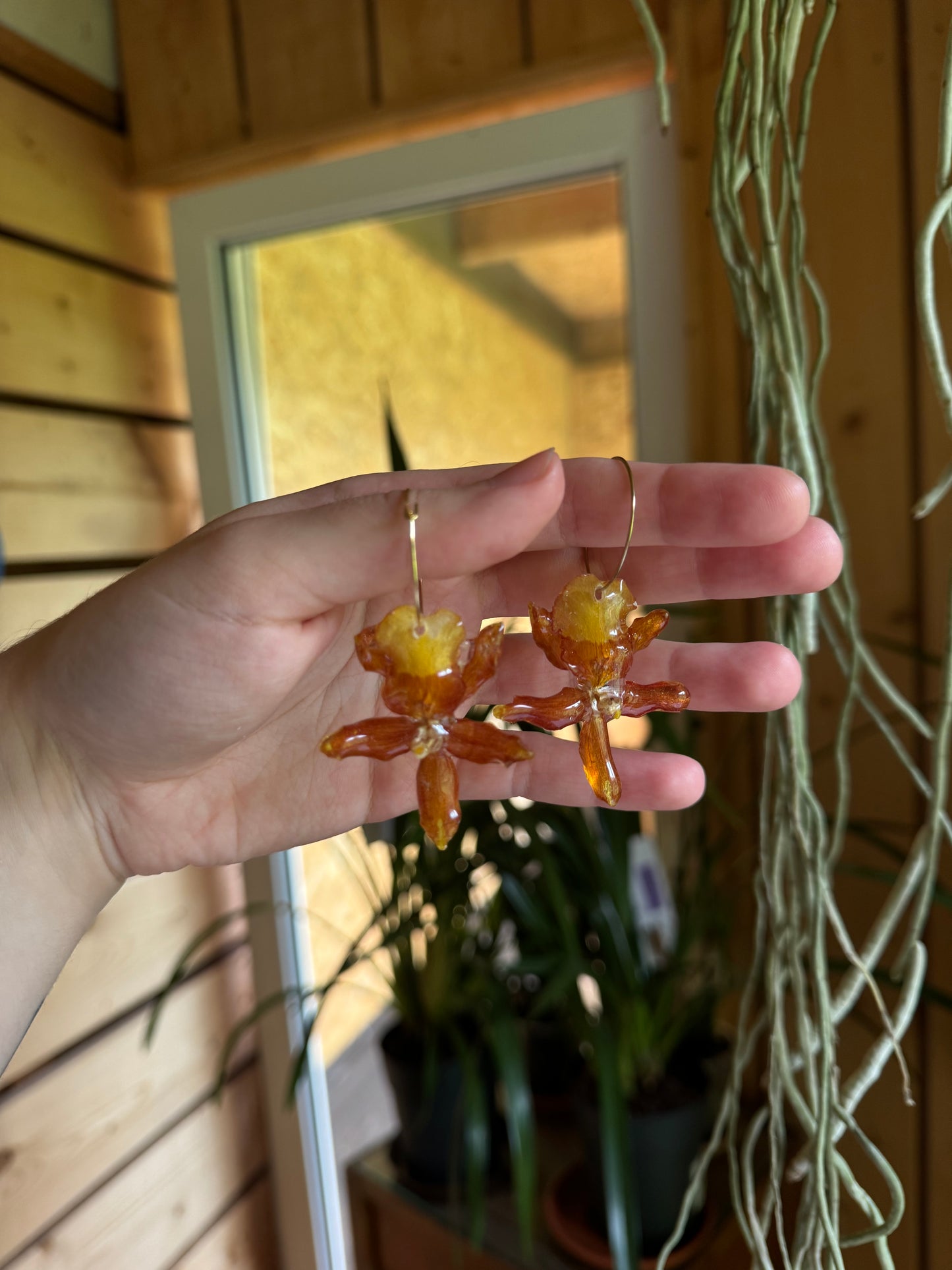Upside down orchid hoops