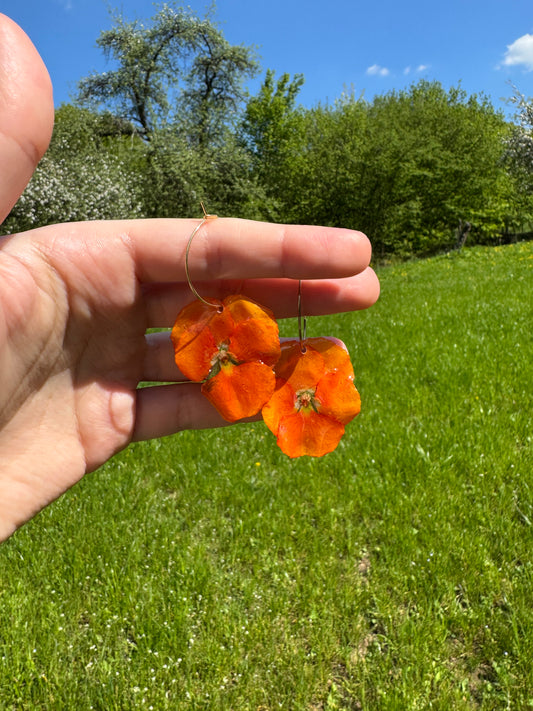 Orange pansy hoops