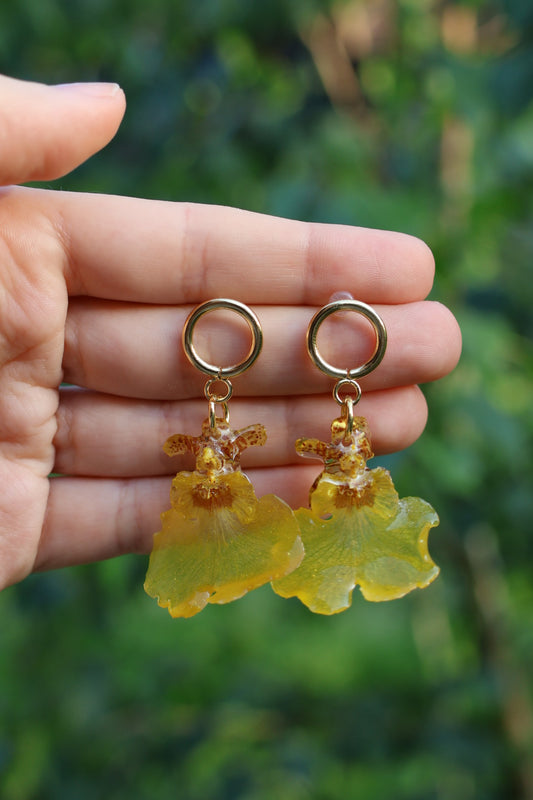 Yellow orchid earrings