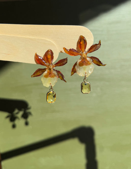 Mini real orchid stud earrings