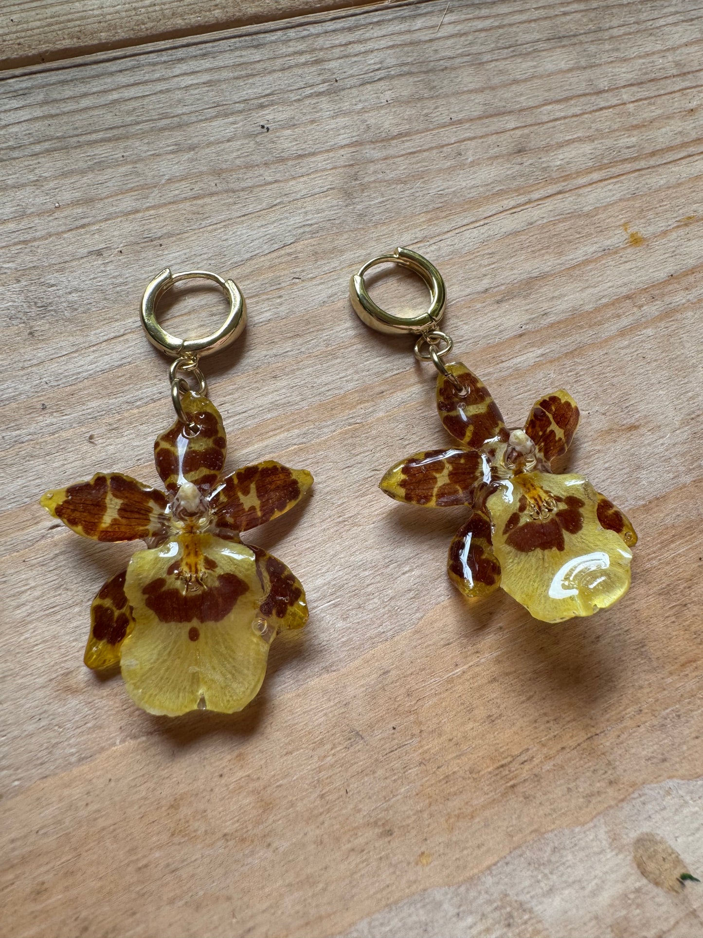 Dainty Yellow Orchid Huggies – Pressed Flower Earrings Gift for Her