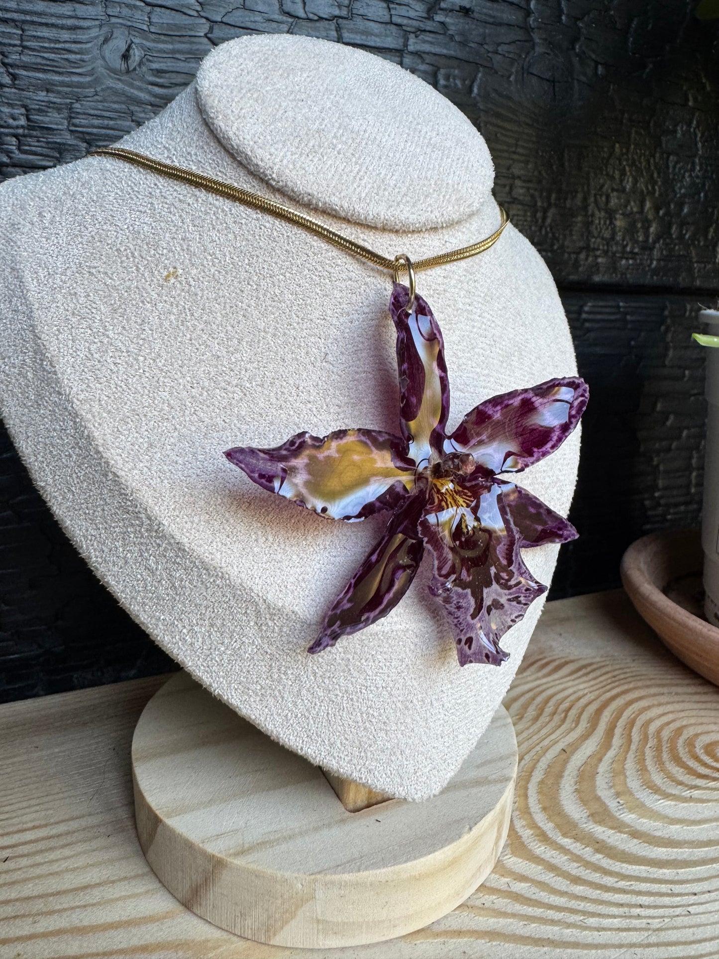 Wilsonara orchid necklace
