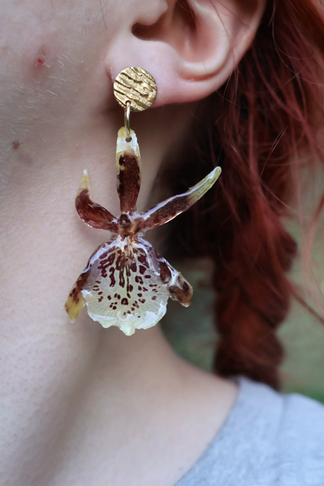 Brassia orchid stud earrings