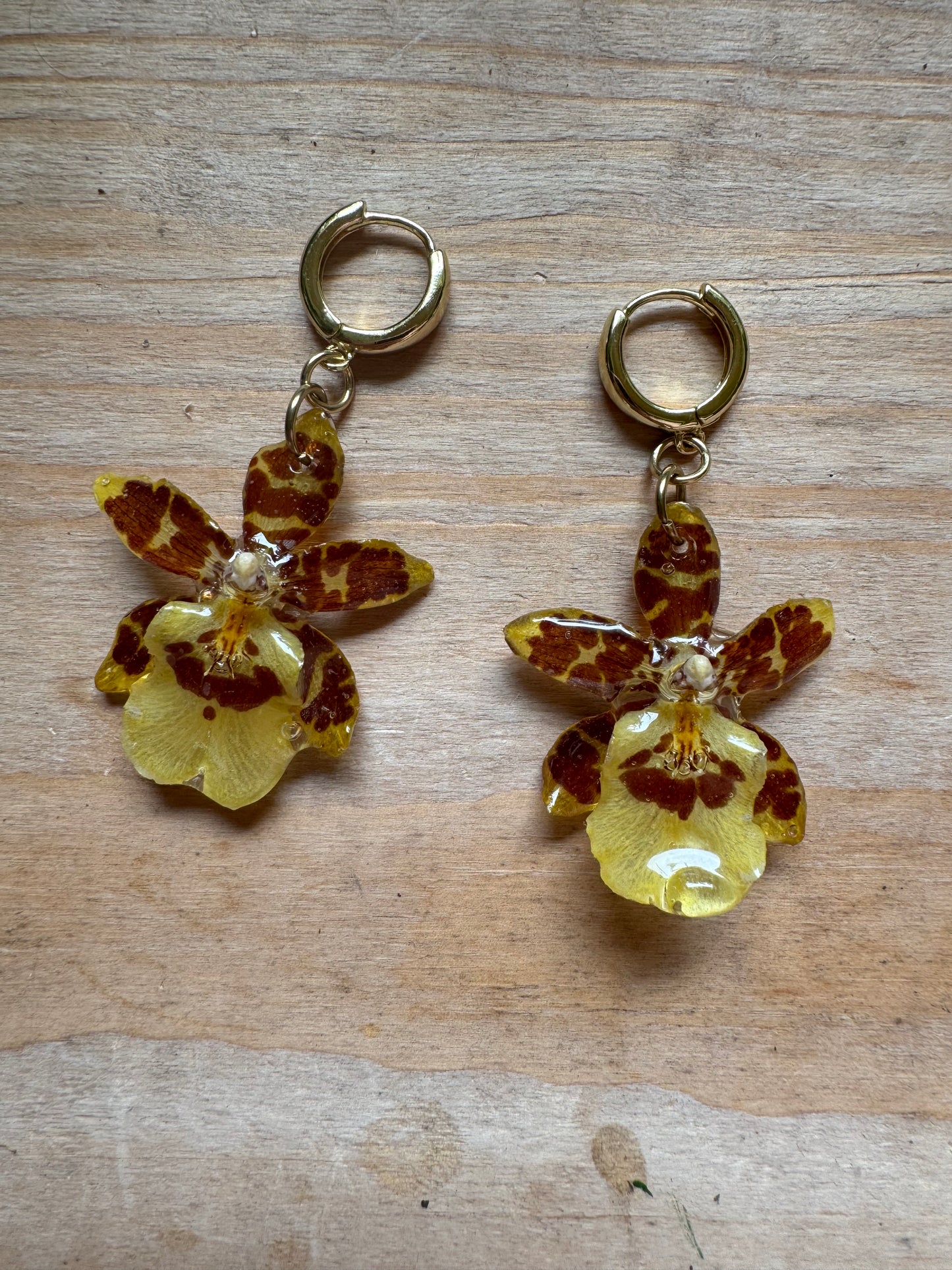 Dainty Yellow Orchid Huggies – Pressed Flower Earrings Gift for Her