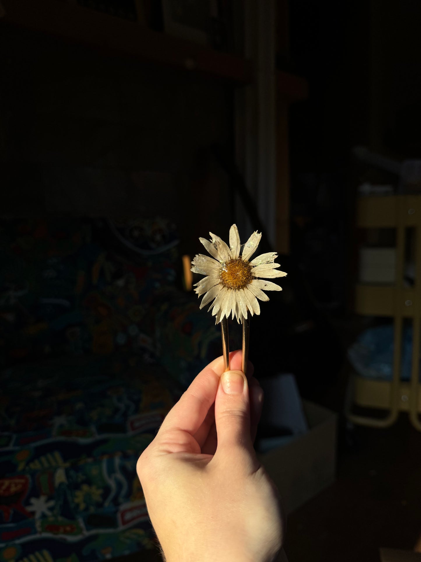 Untitled Mar18_16:34 SYLLIA