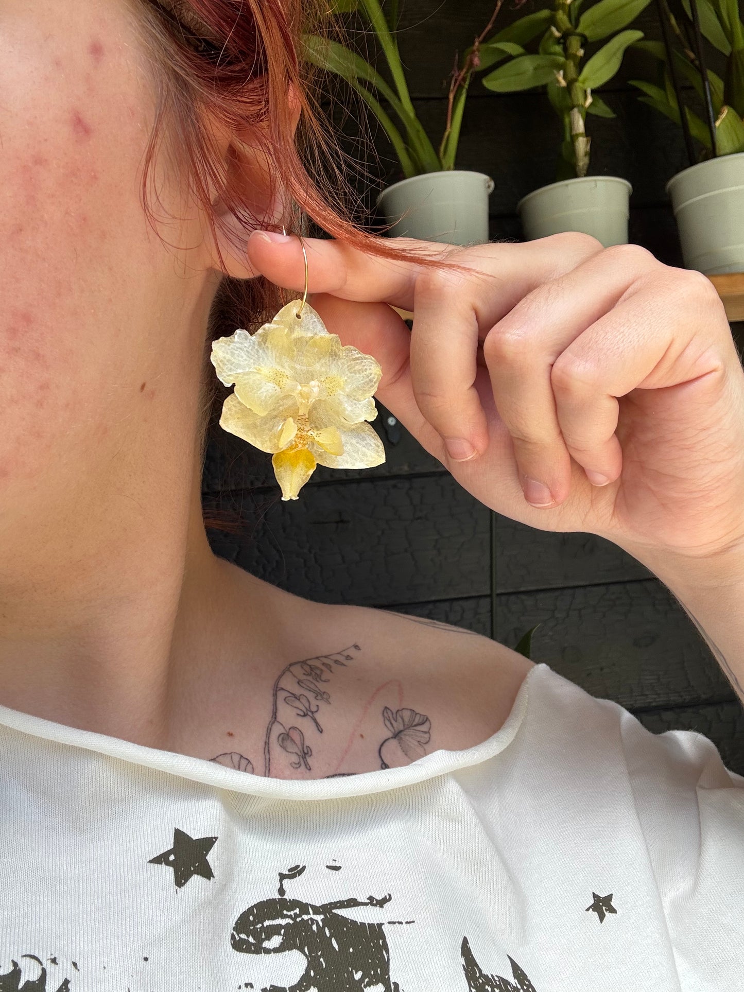 Orchid hoops yellow