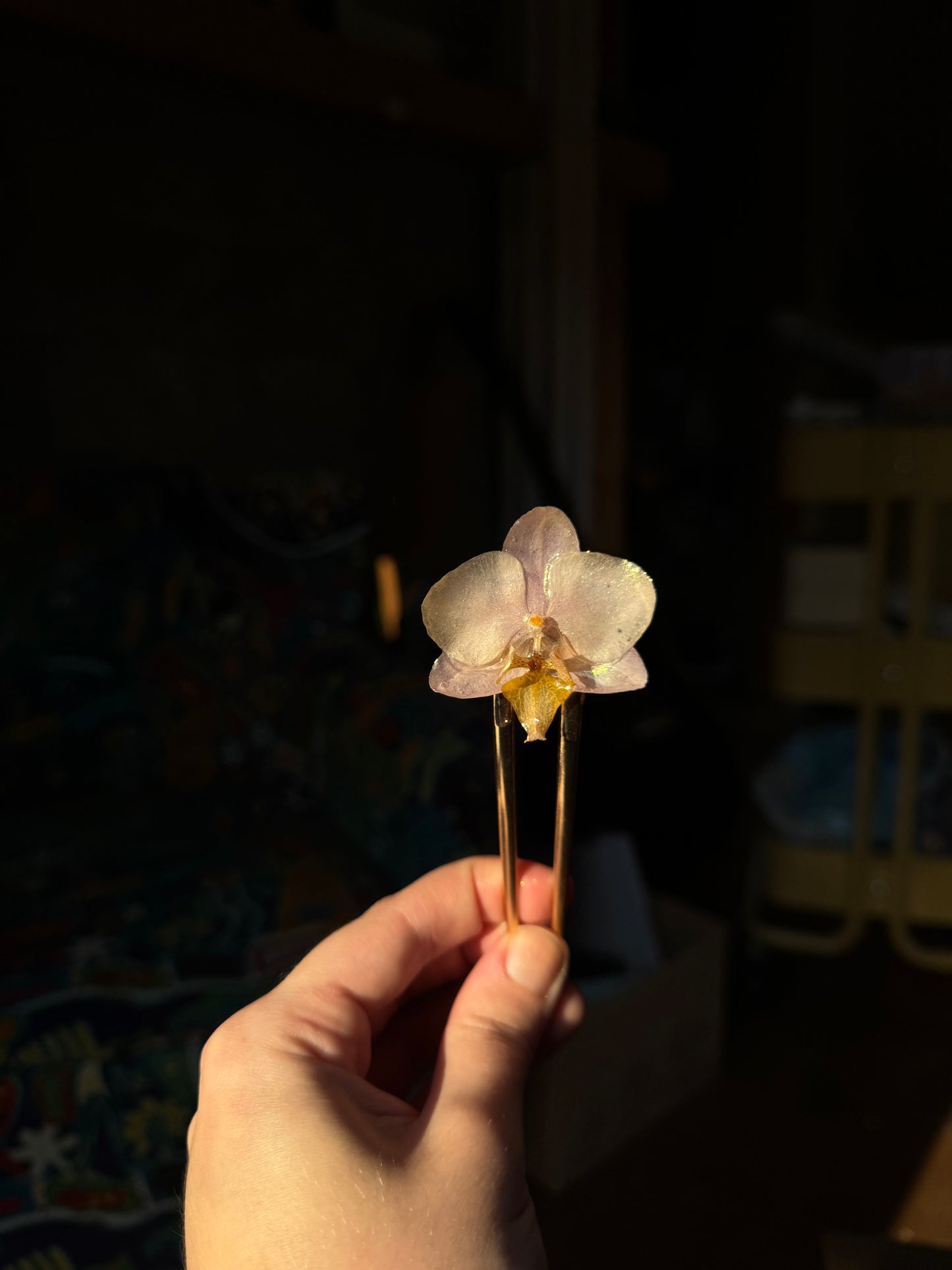 Untitled Mar18_16:34 SYLLIA