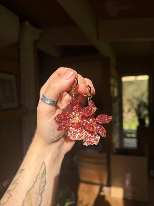 Red tiger orchid earrings SYLLIA