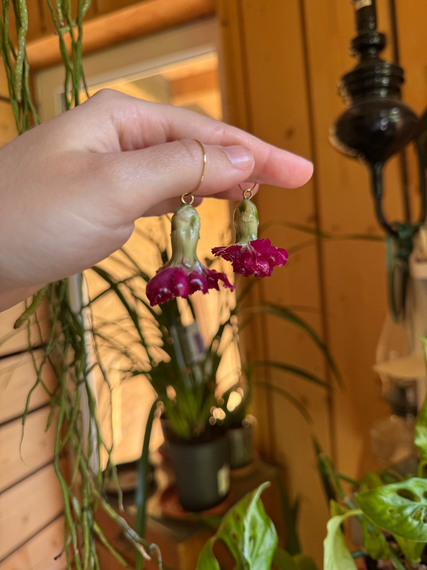 Carnation hoops