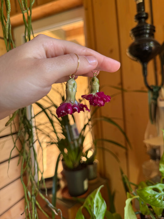 Carnation hoops