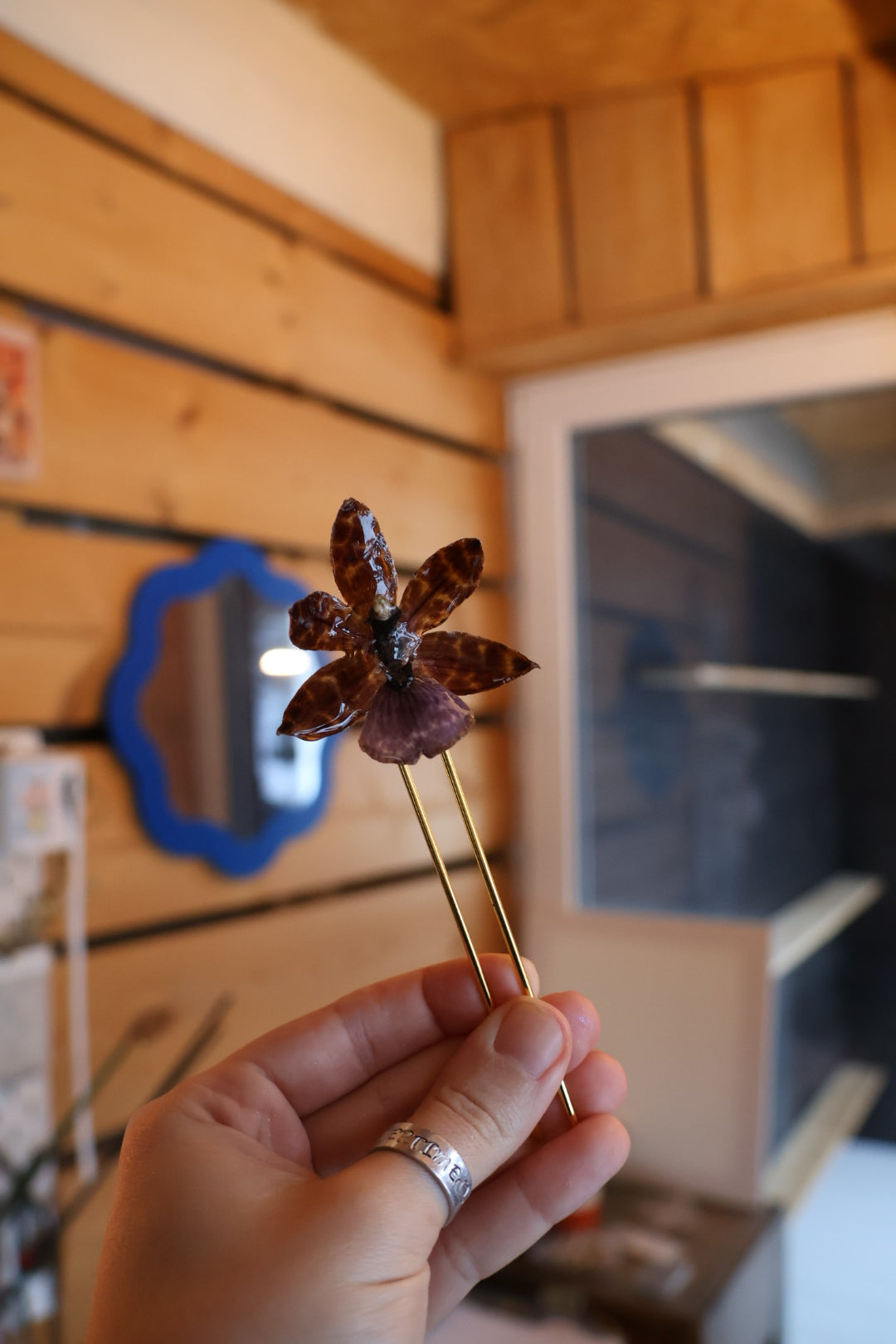 Hybrid orchid hairpin SYLLIA