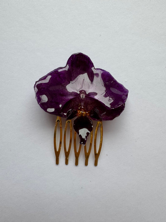 Real purple orchid hair comb