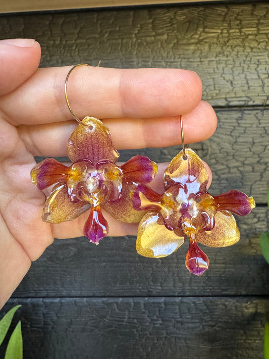 Peloric sunset orchid hoops