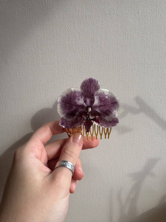 Real orchid hair comb
