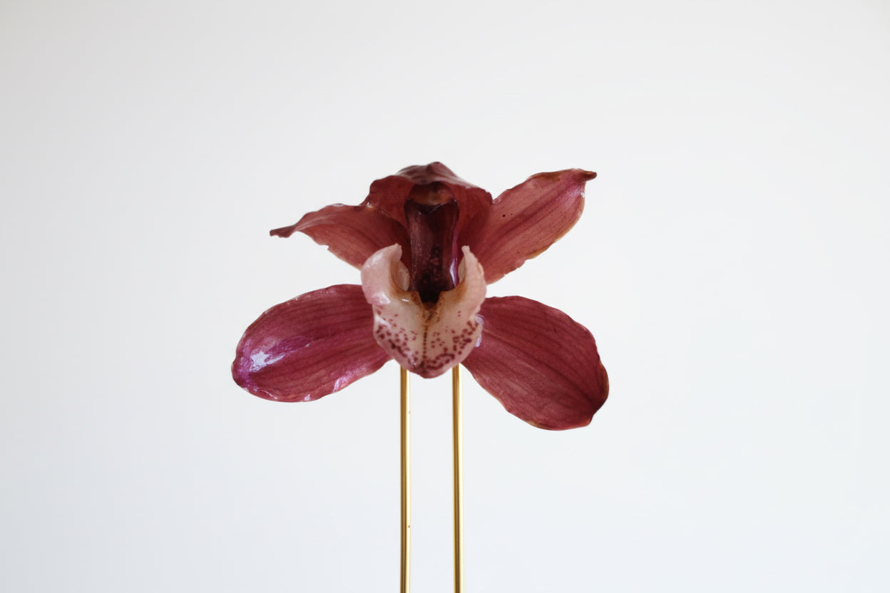 Cymbidium orchid hairpin SYLLIA