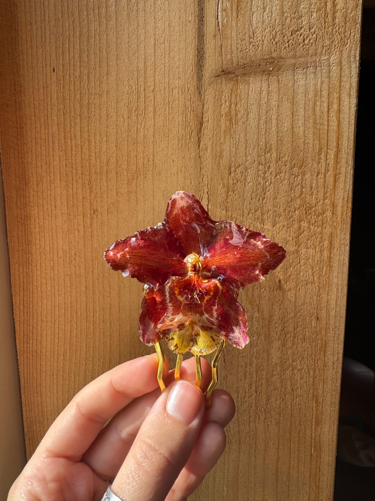 Hybrid orchid hairpin