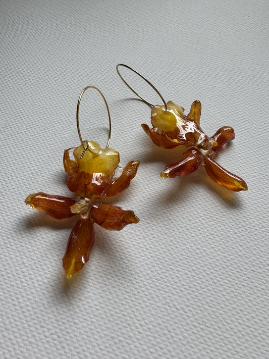 Upside down orchid hoops