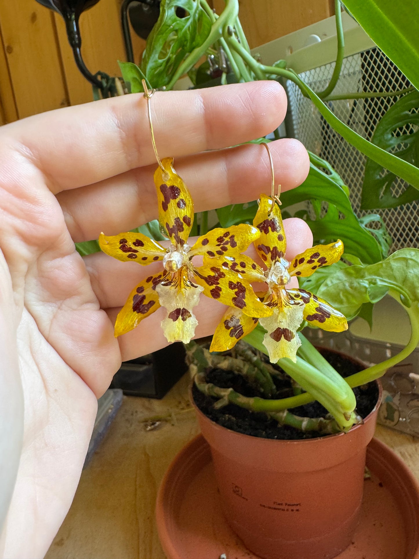 Simple yellow orchid hoops