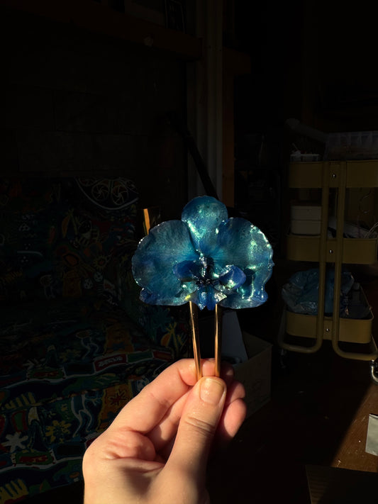 Untitled Mar18_16:34 SYLLIA