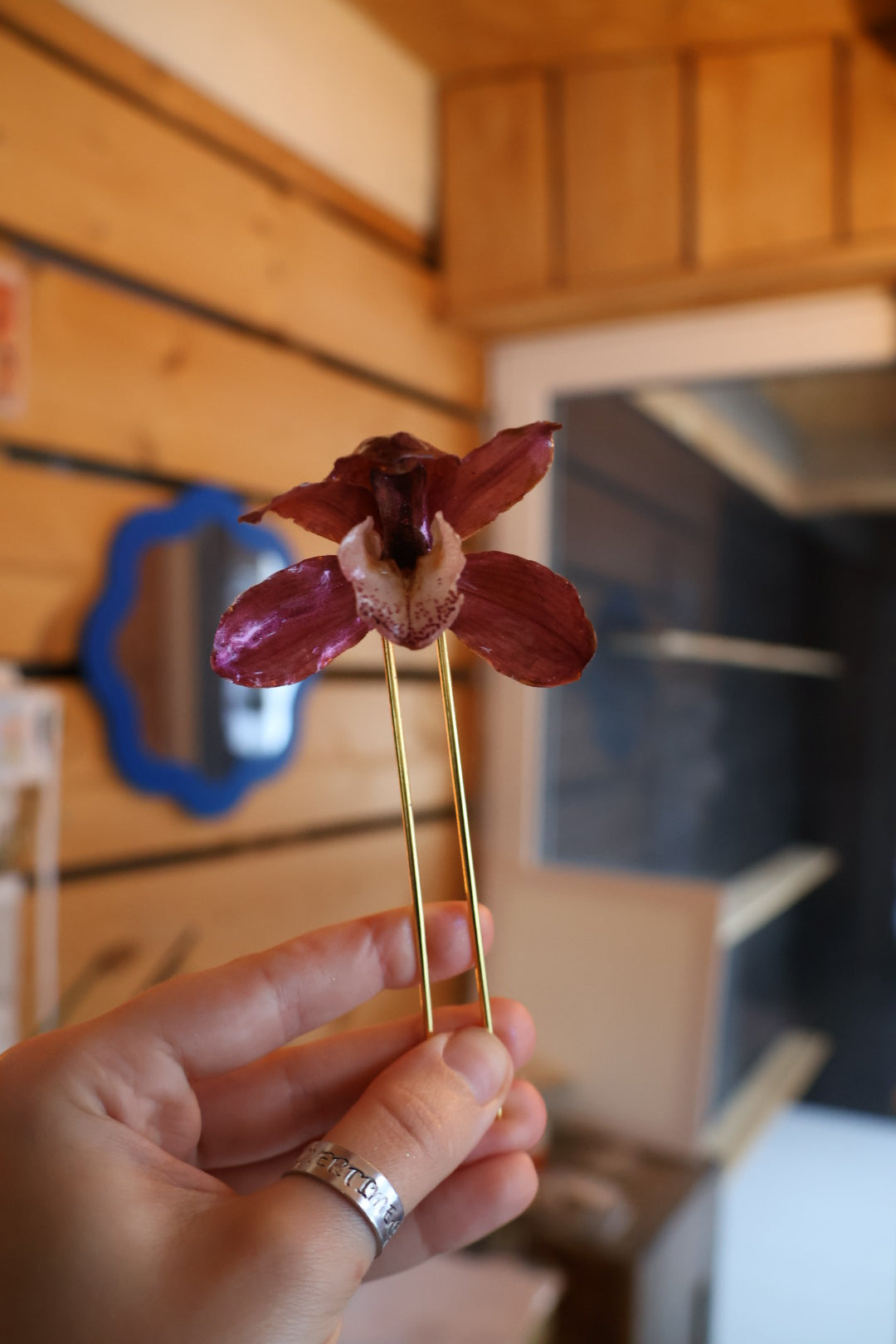 Cymbidium orchid hairpin SYLLIA