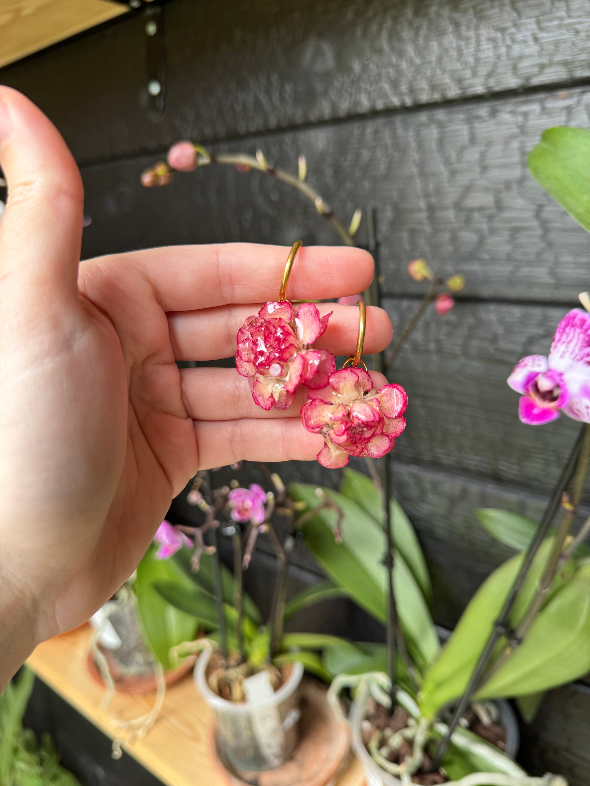 Pink carnations hoops SYLLIA