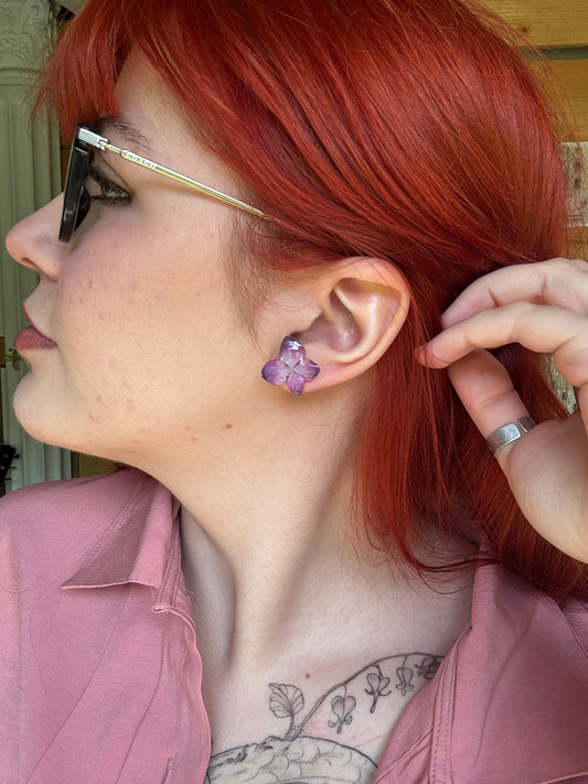 Pink hydrangea studs