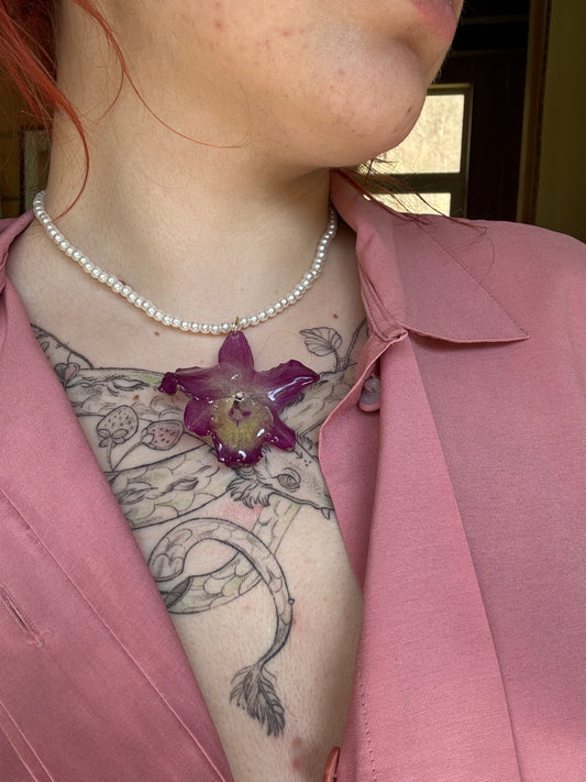 Dendrobium pearl necklace