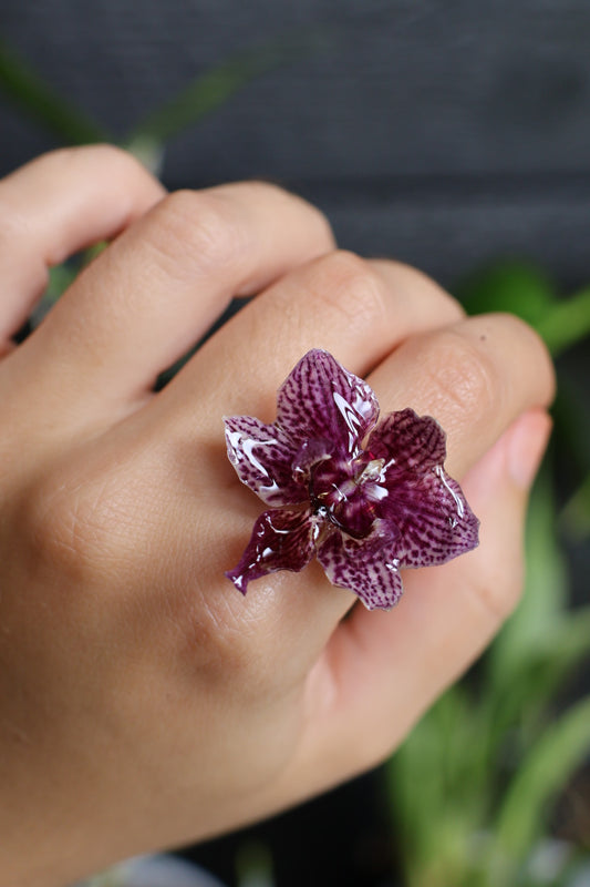 Real orchid ring SYLLIA