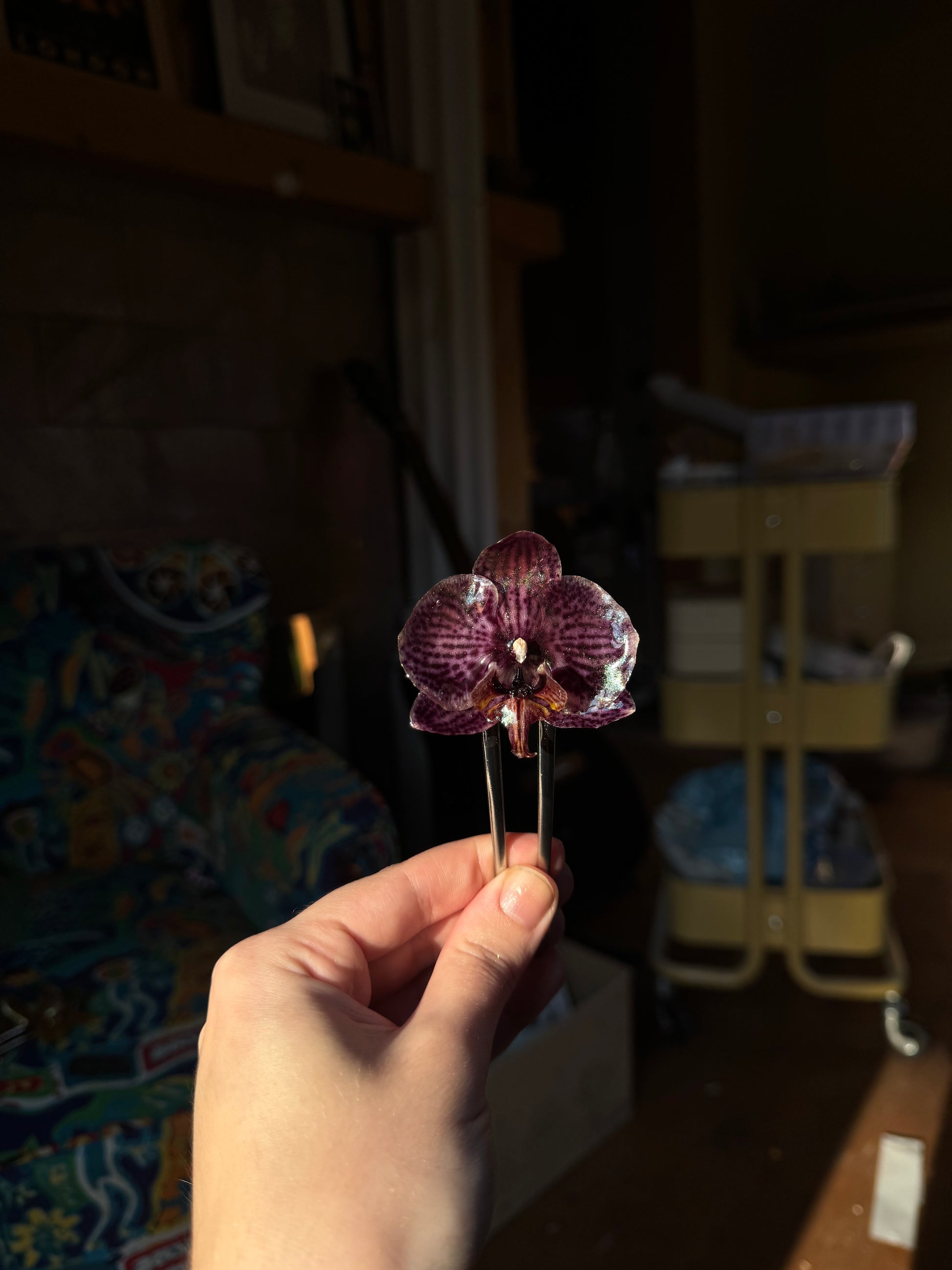 Untitled Mar18_16:34 SYLLIA