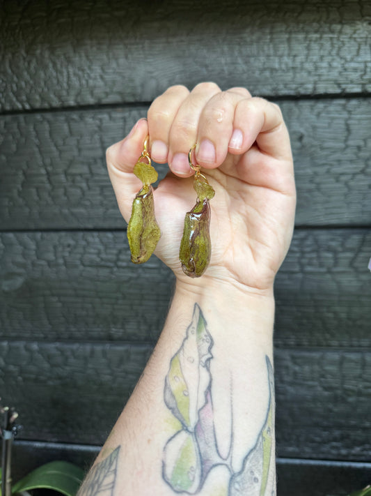 Pitcher plant nepenthes earrings SYLLIA