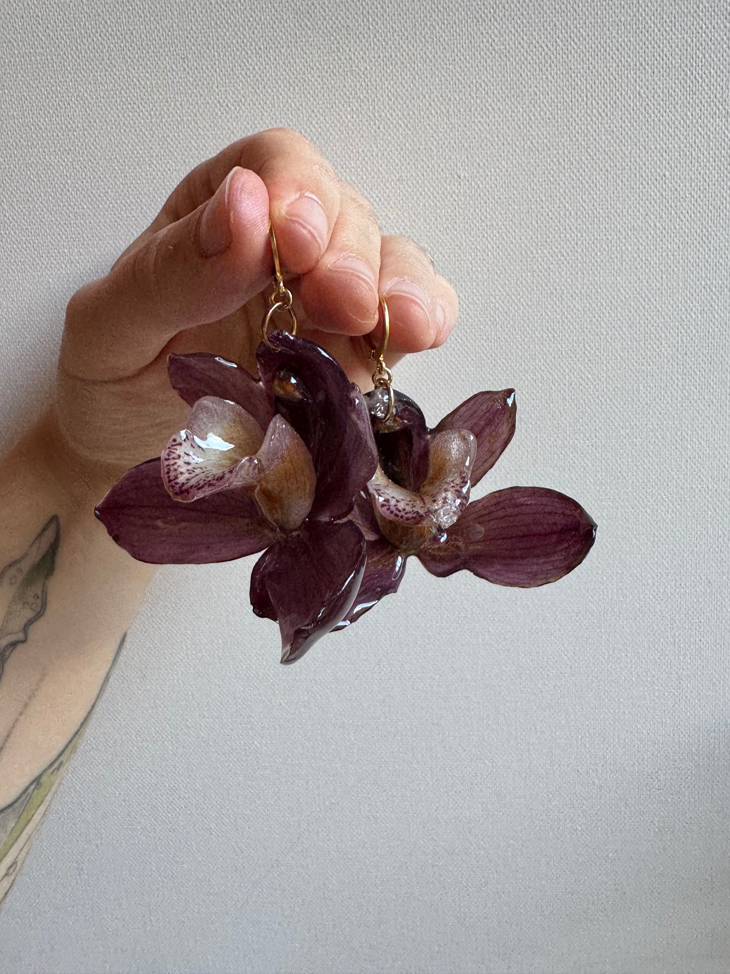 Cymbidium orchid earrings