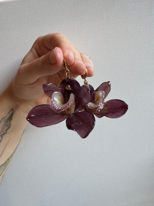 Cymbidium orchid earrings