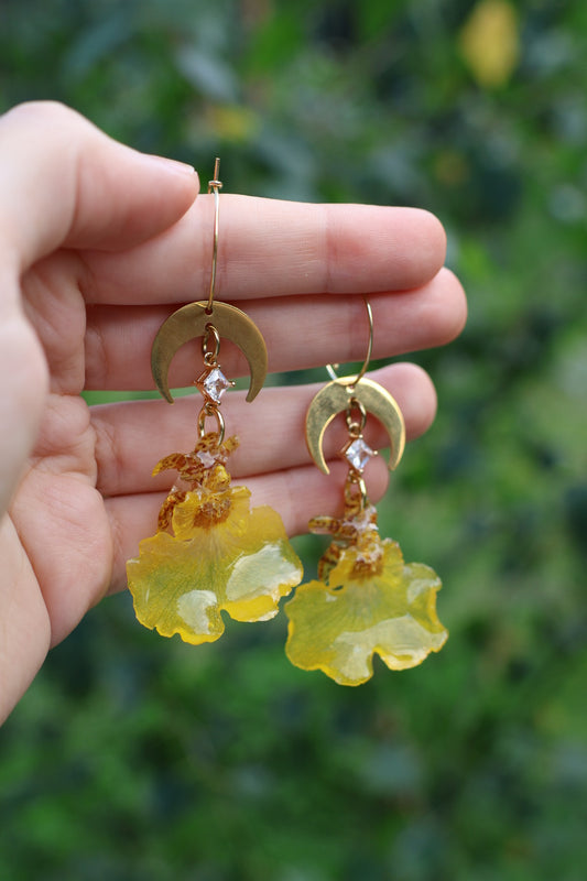 Yellow moon orchid earrings
