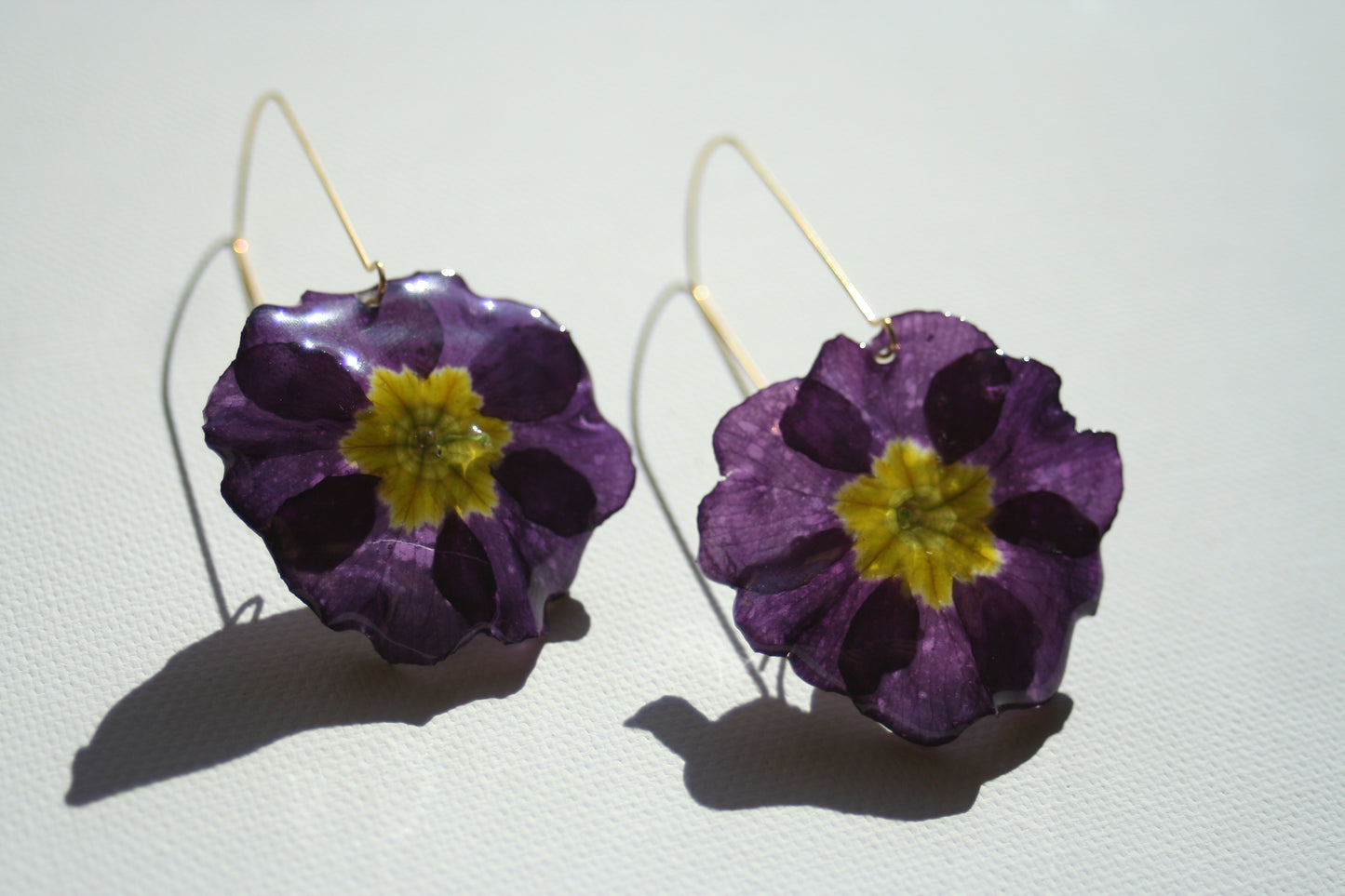 Real primula flower earrings