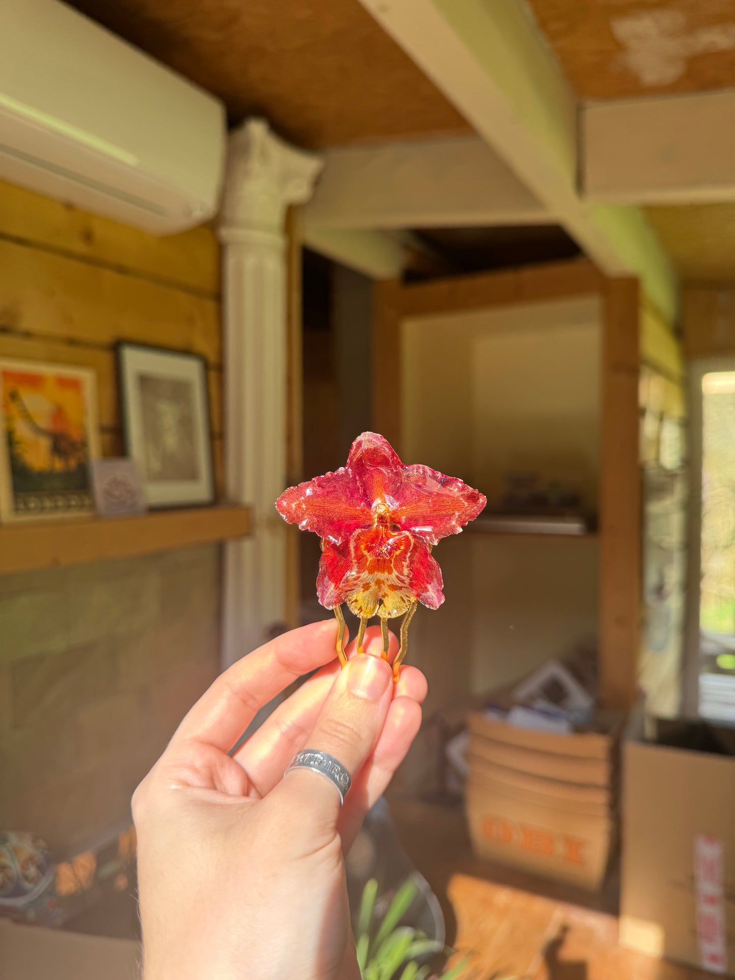 Hybrid orchid hairpin