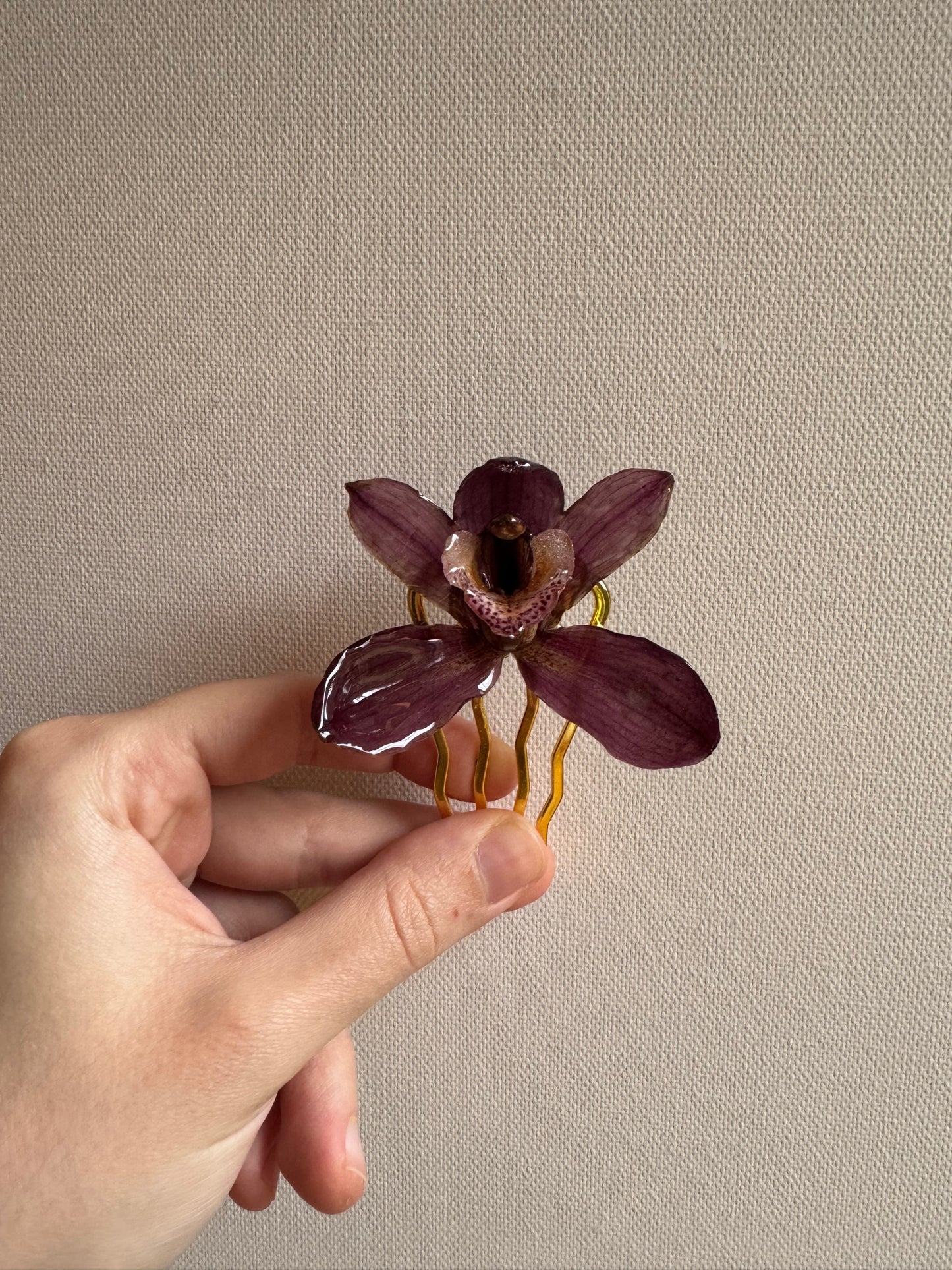 Cymbidium hairpin